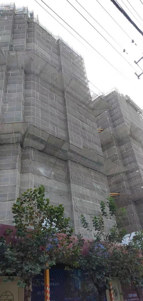 建筑建材企業(yè)商情 洞察市場脈搏，把握發(fā)展機遇